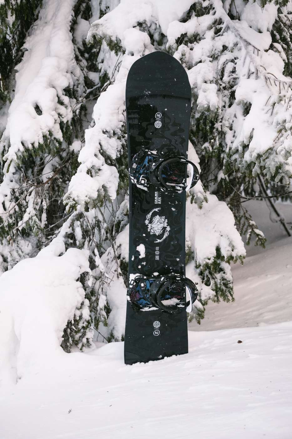 Gamma Apx 2024