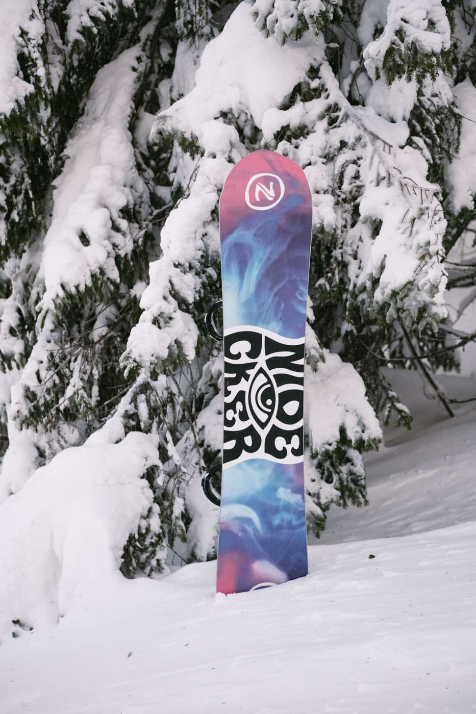 Gamma Apx 2024