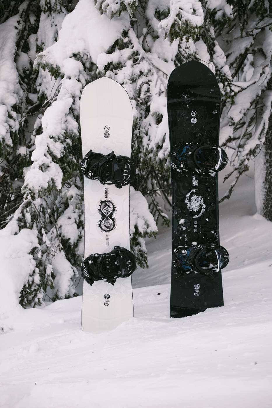 Gamma Apx 2024